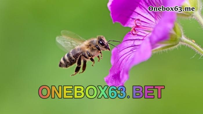 Có bao nhiêu loại ong trên thế giới?