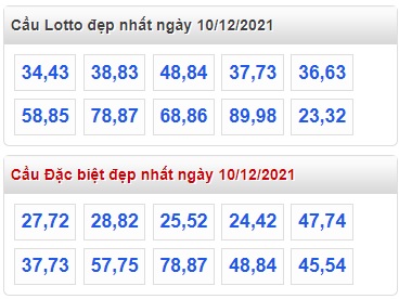 Thống kê lo to 10/12/21